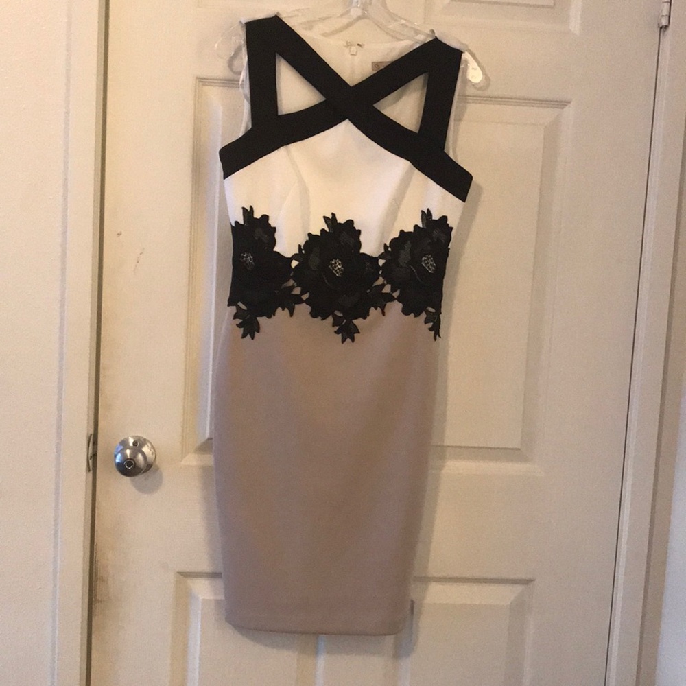 Dress barn A-Line dress